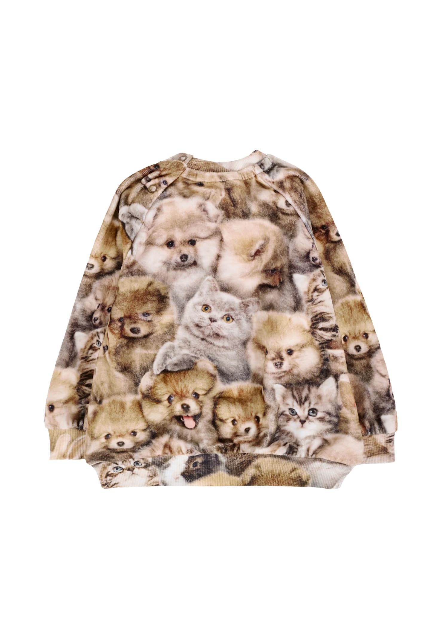 Molo Brown Sweatshirt For Baby Girlwith Animals In Brown