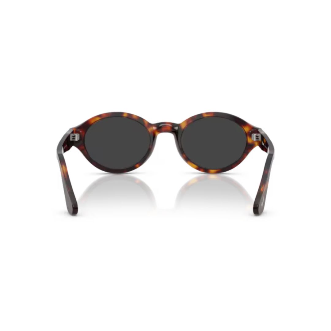 Persol 3378s Sole24/48 In Brown