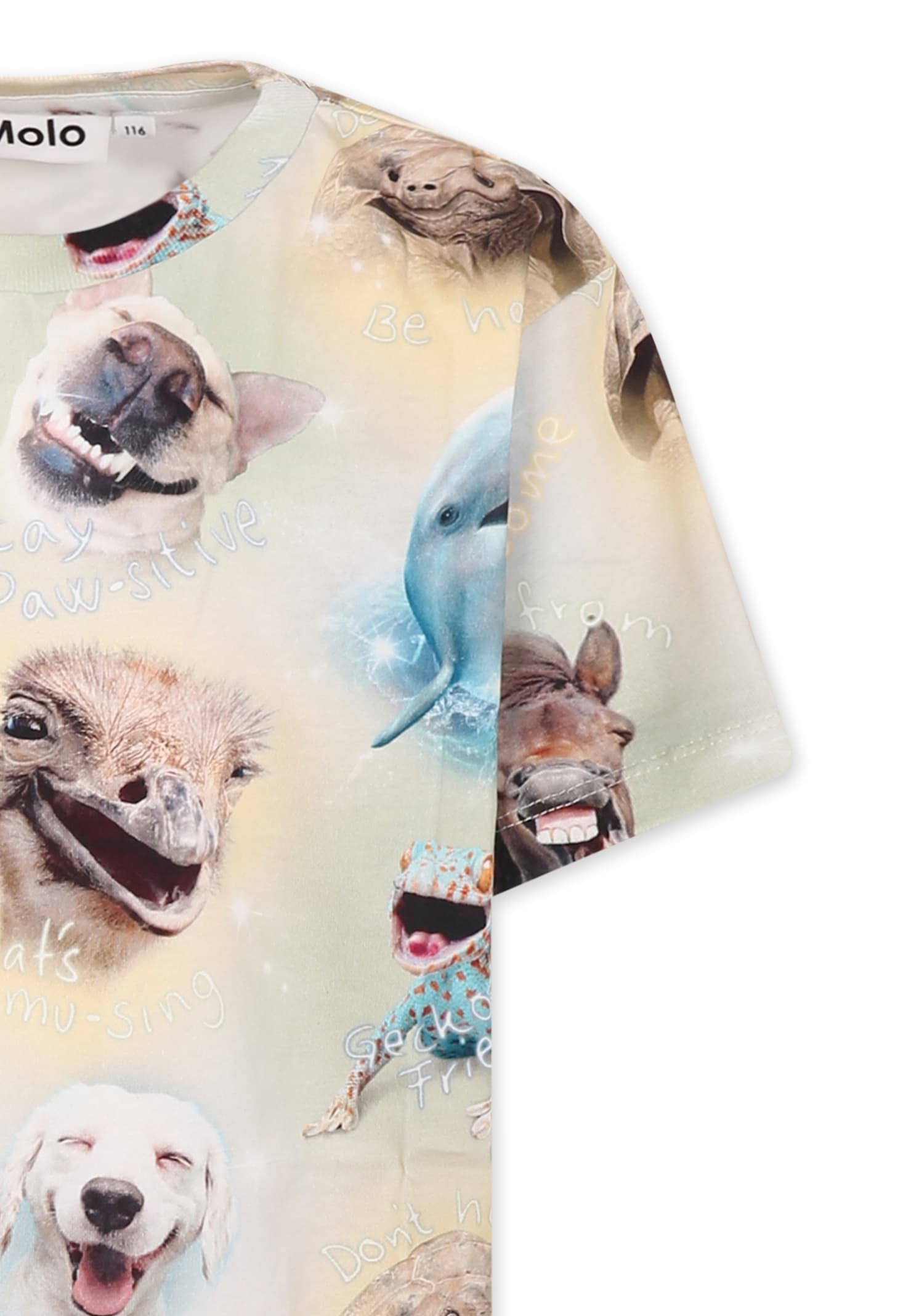Molo Multicolor T-shirt For Kids With Animals In Multicolor