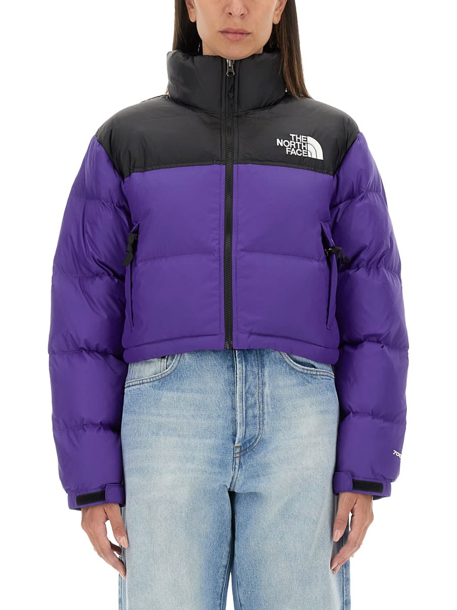 Shop The North Face Nuptse Short Jacket In Purple