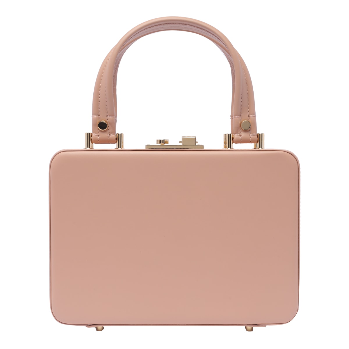Shop Gianvito Rossi Vali Handbag In Pink