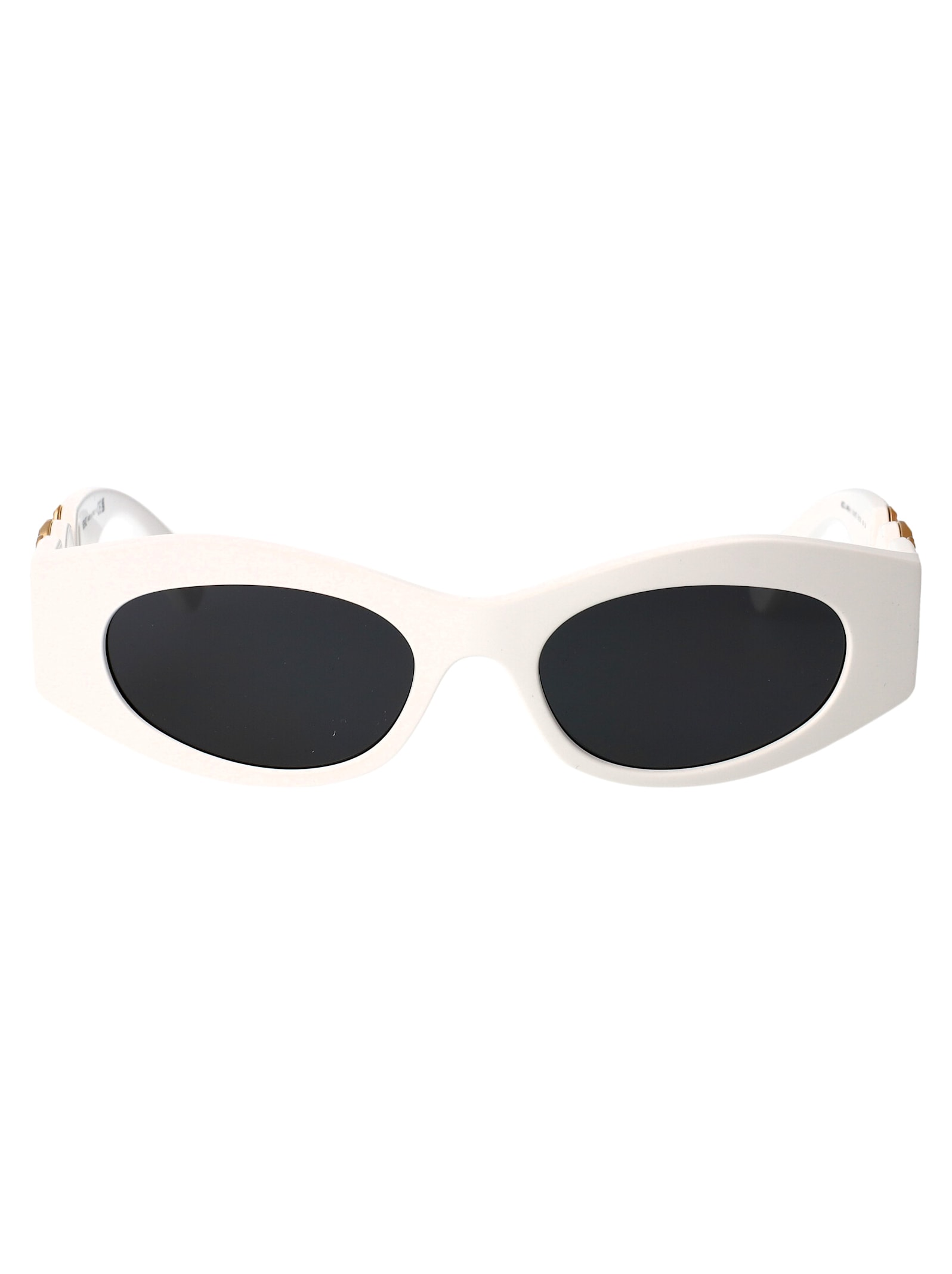 0ve4480u Sunglasses