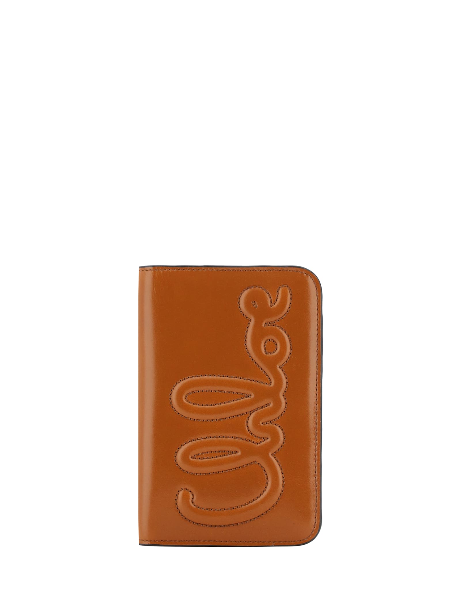 Chloé Card Holder In Clay Brown