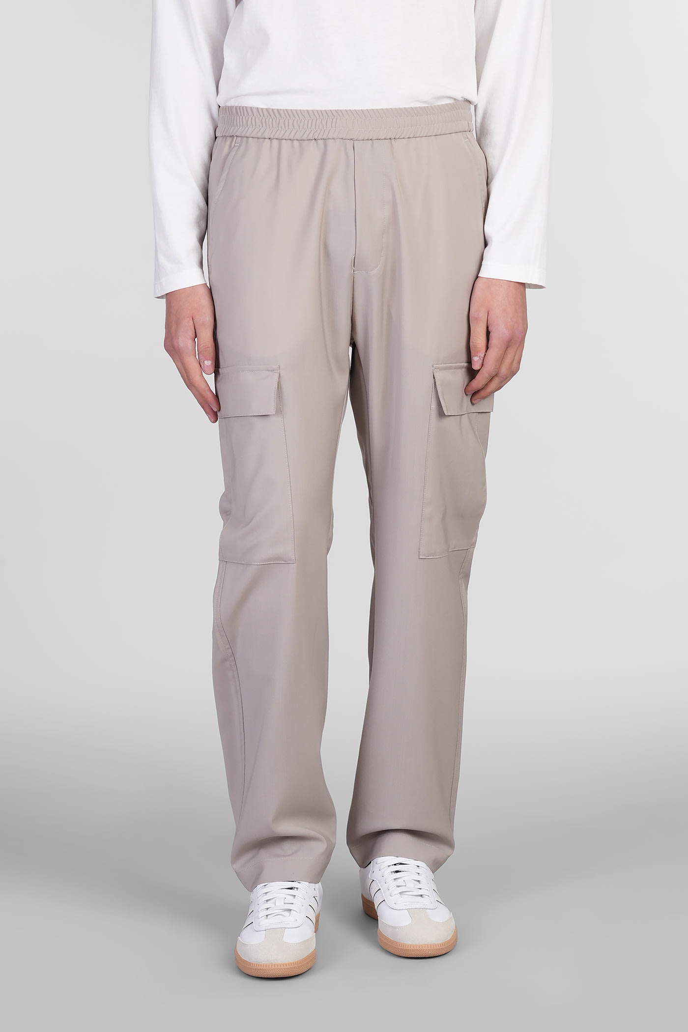 Tagio Pants In Beige Wool