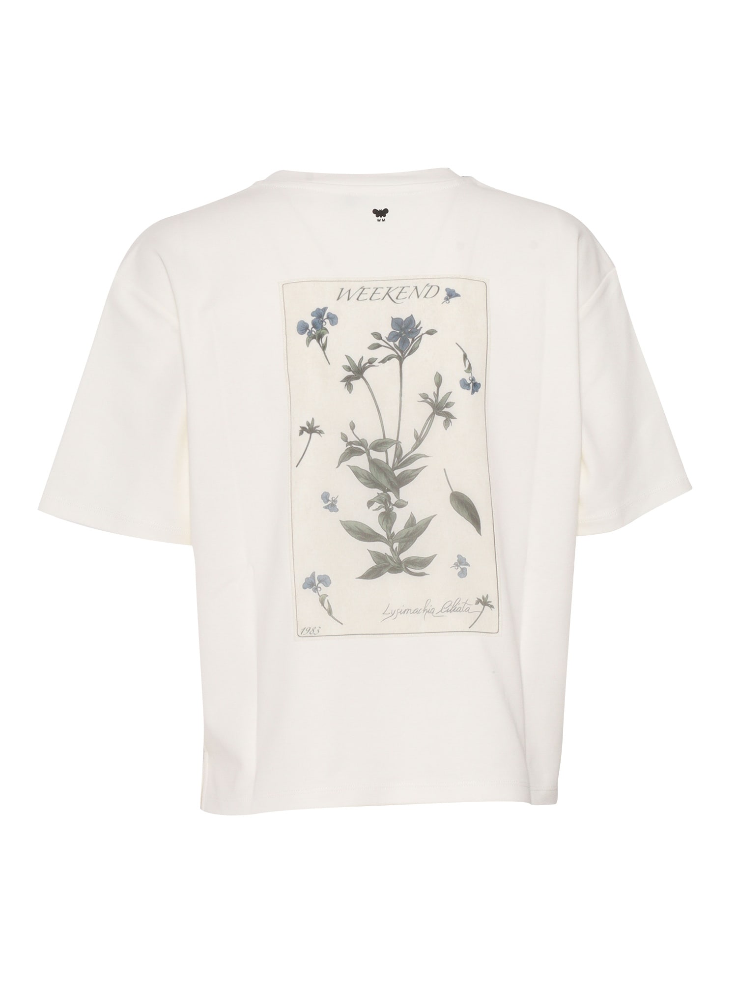 Weekend Max Mara Floral-print Cotton T-shirt In White