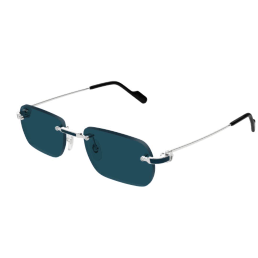 Cartier Ct0498s-004silver-silver-blue In Metallic