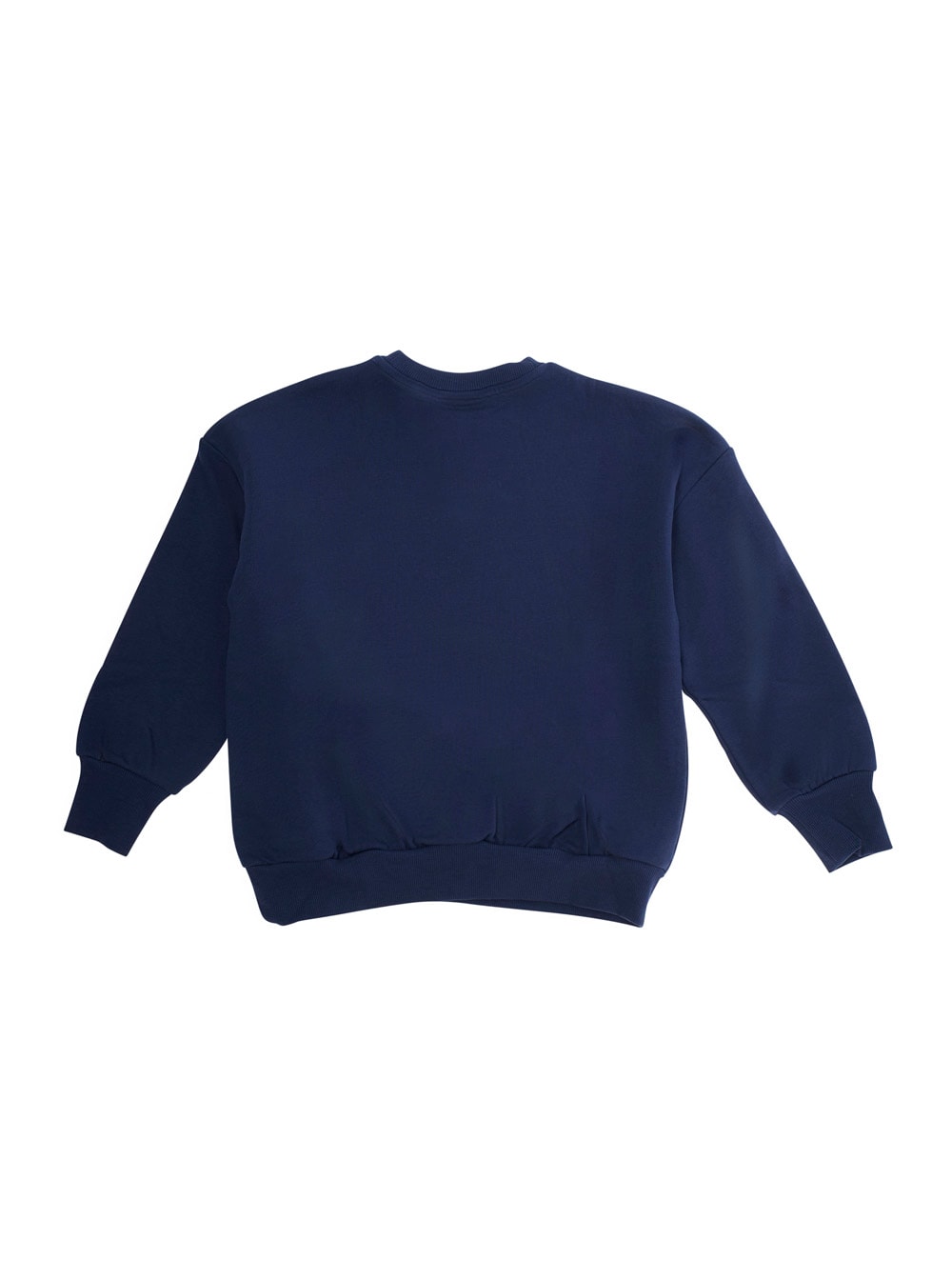 Mini Rodini Blue Sweatshirt With Dino Patch On The Front In Cotton Baby In Blue