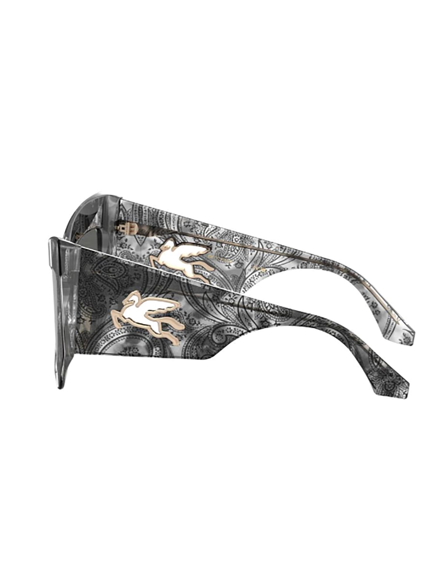 Etro Mania Oversized-frame Sunglasses In /ga Havana Grey