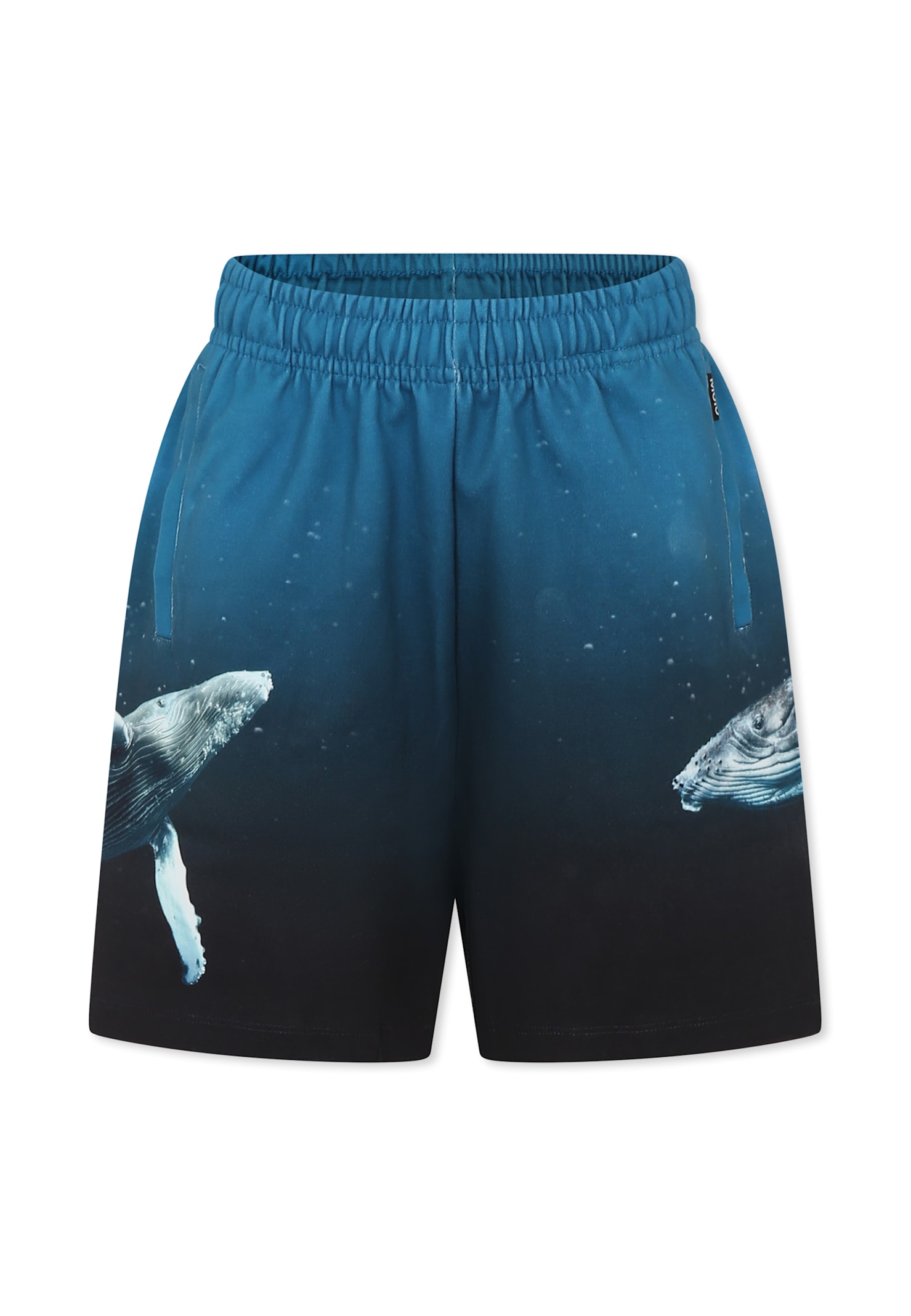 Molo Light Blue Shorts For Boy With Whale In Light Blue