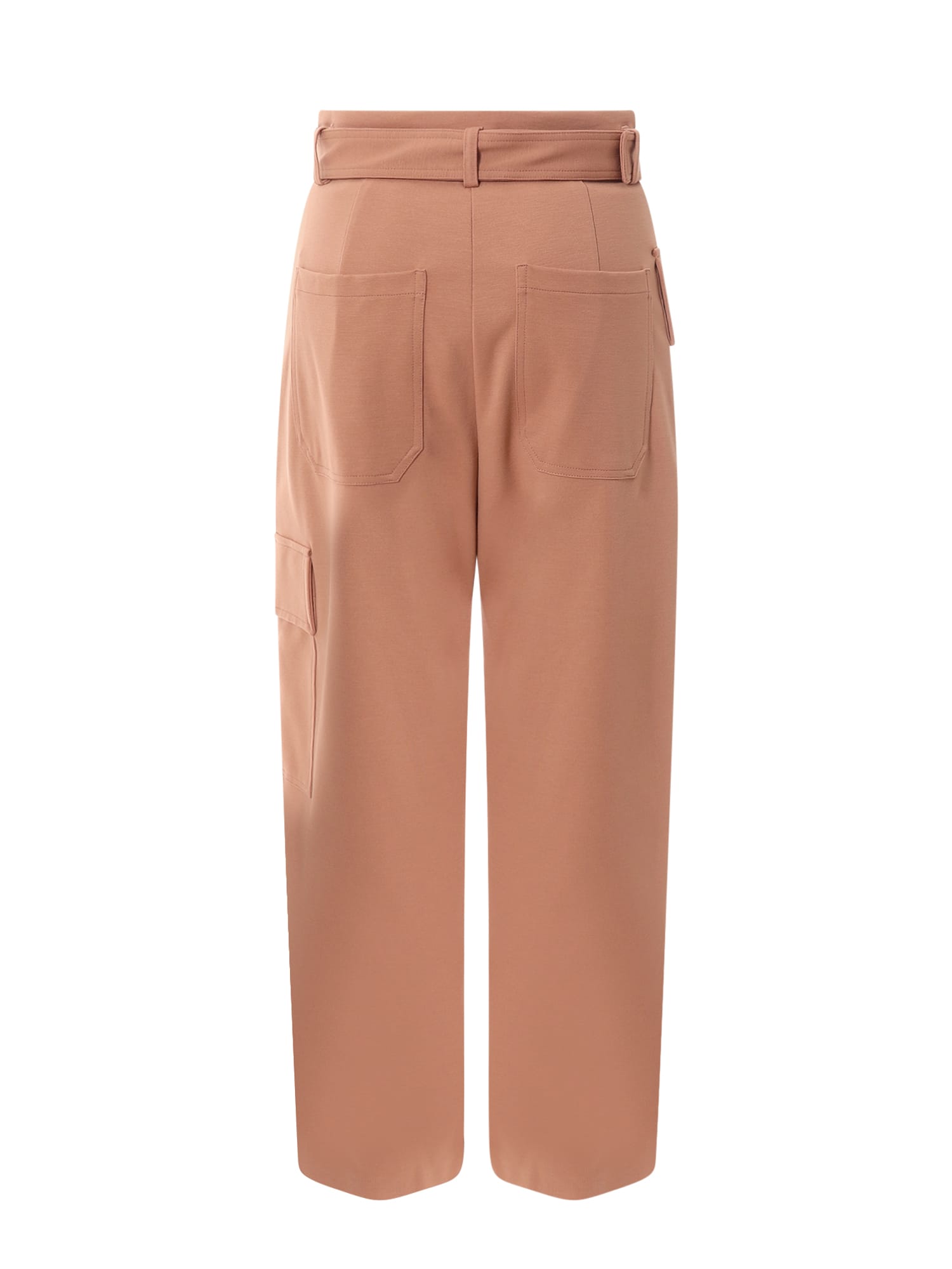Shop Pinko Trouser In Mousse