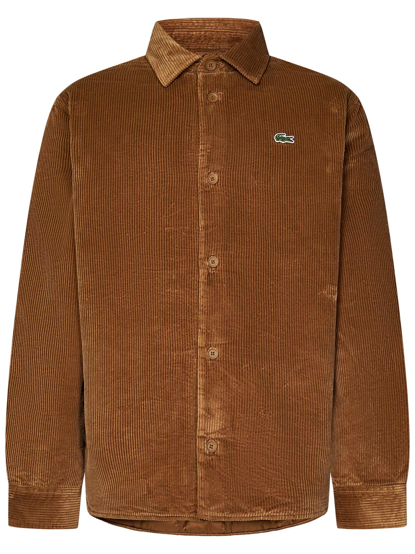 Shop Lacoste Shirt In Brown