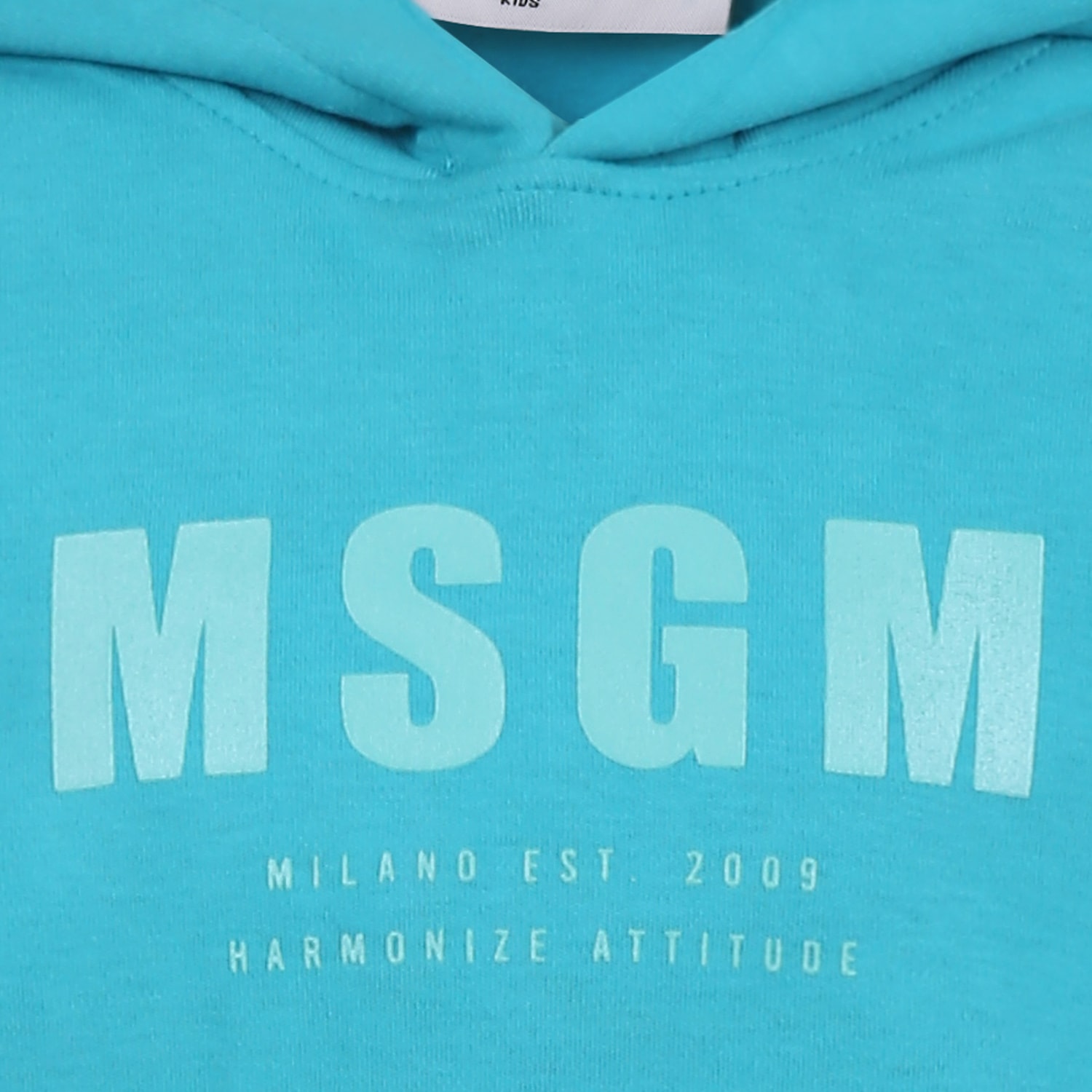 Msgm Green Sweatshirt For Kids With Logo In Green