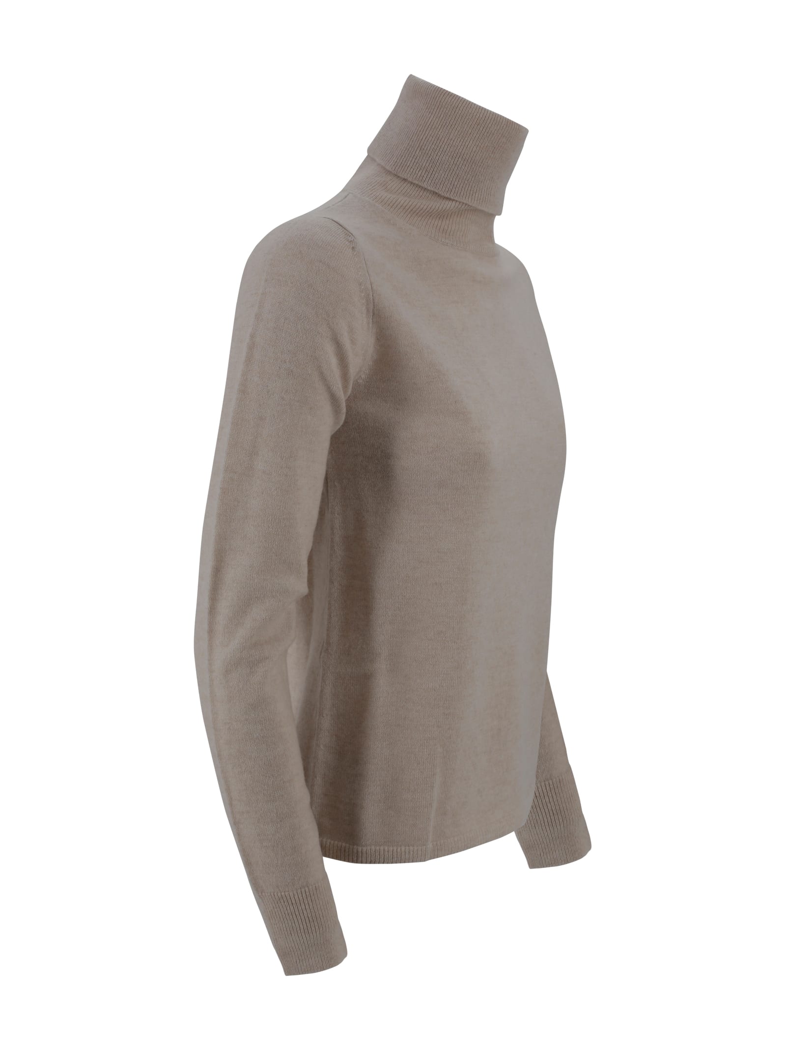 Max Mara Turtleneck Jumper In Brown