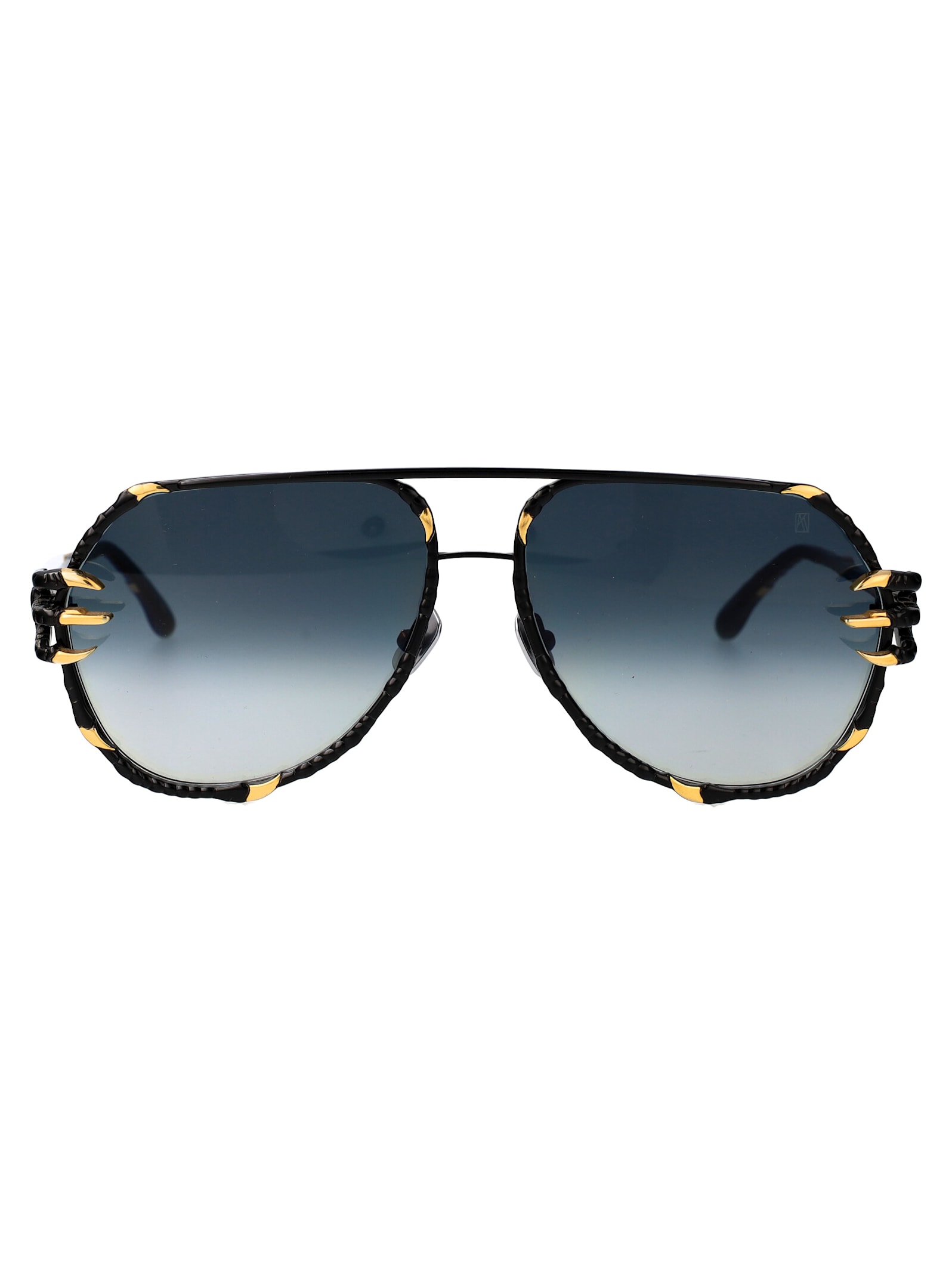 Claw Voyage Sunglasses