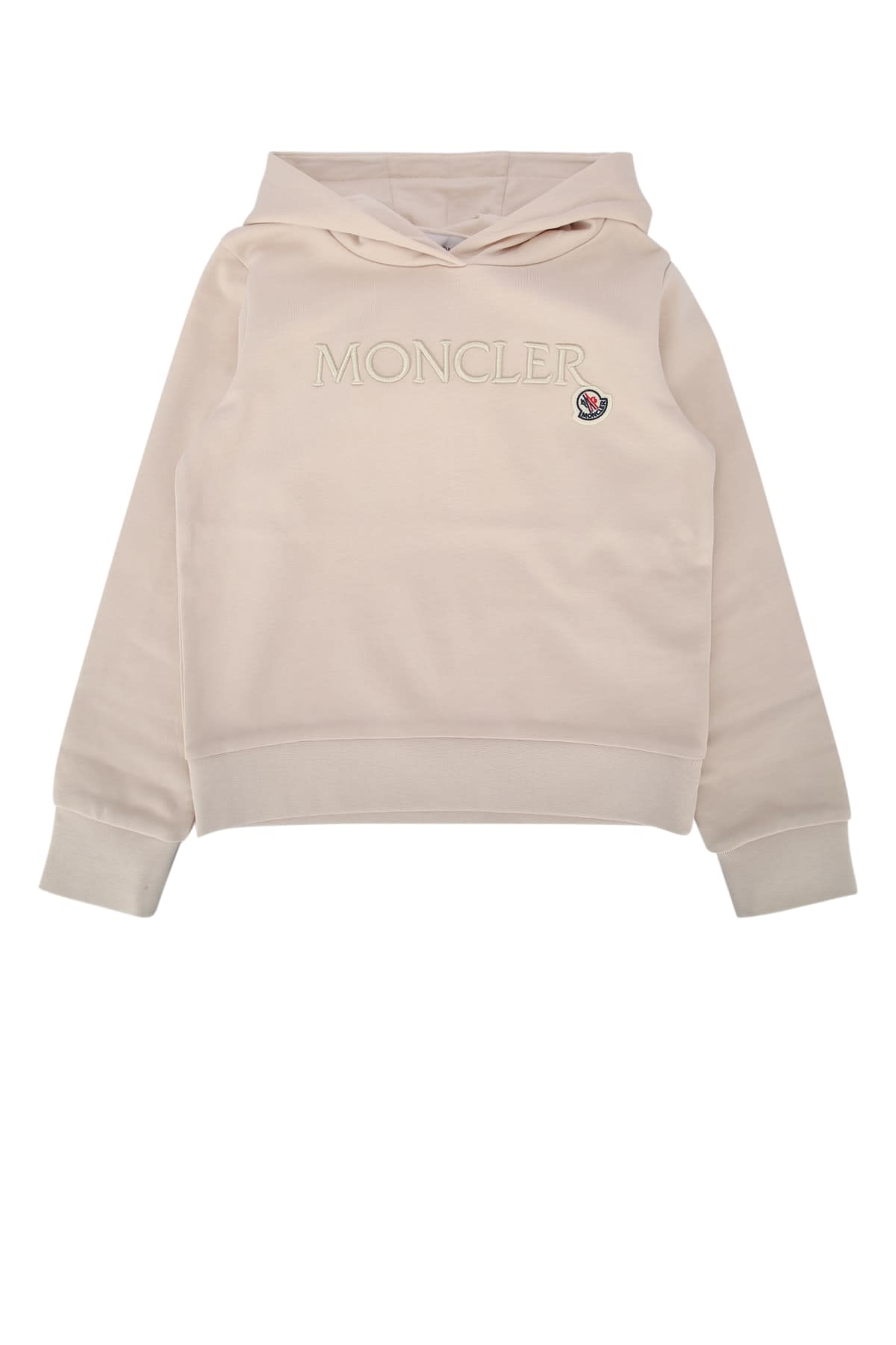 Moncler Hoodie Sweater In 51n