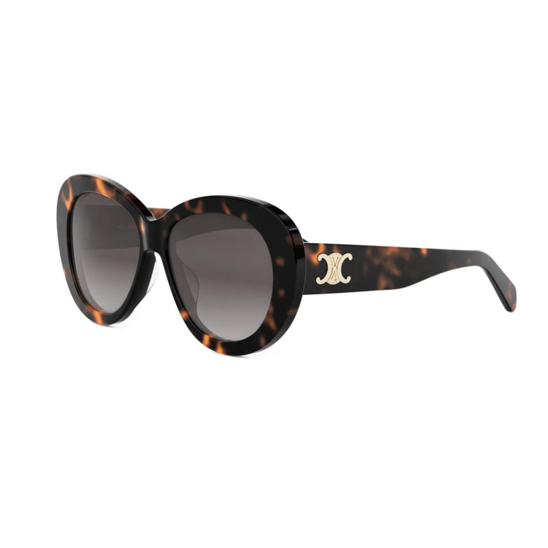 Celine Cl40317u52f In Multi