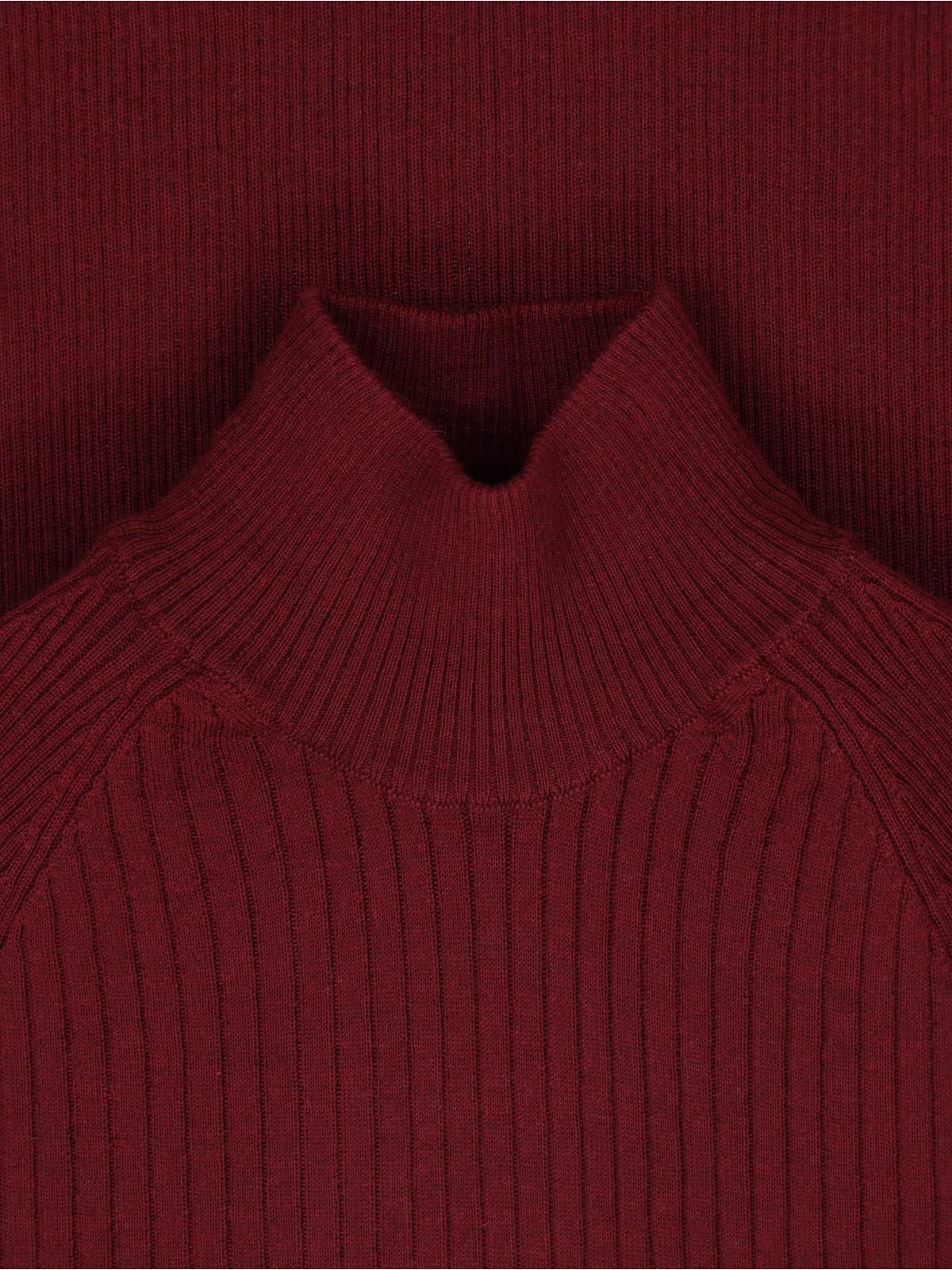 Sa Su Phi Cashmere And Silk Sweater In Red