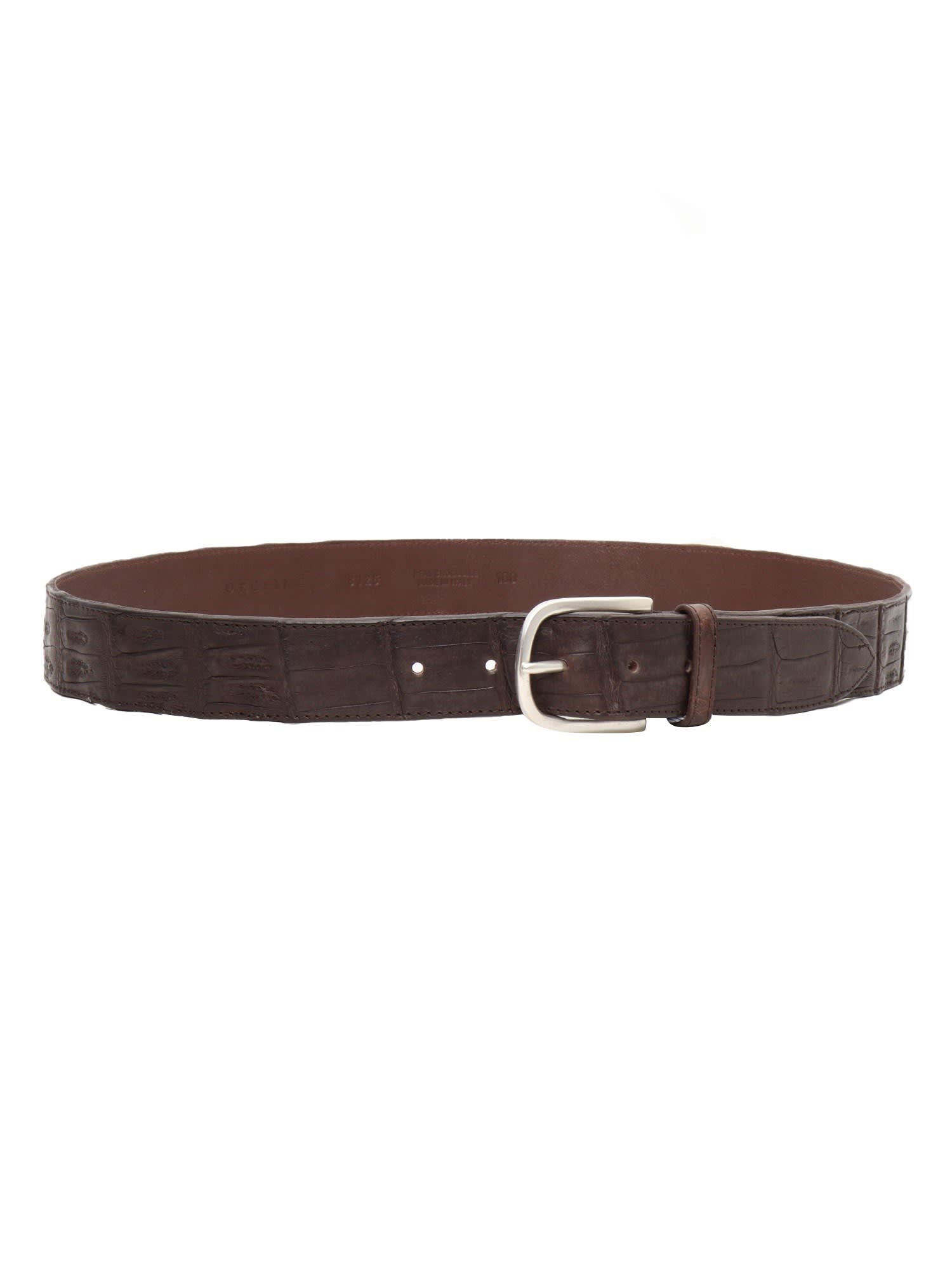 Shop Orciani Belt In Brown