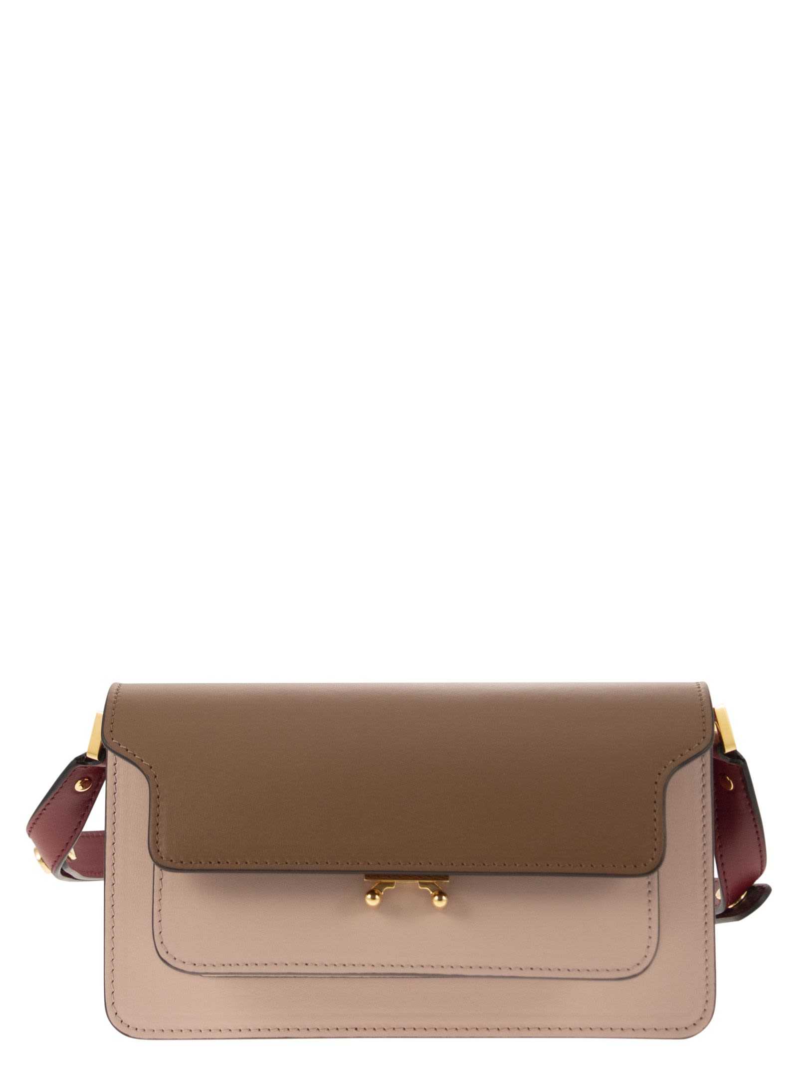 Marni Trunk - Leather Bag In Pink/brown/burgundy