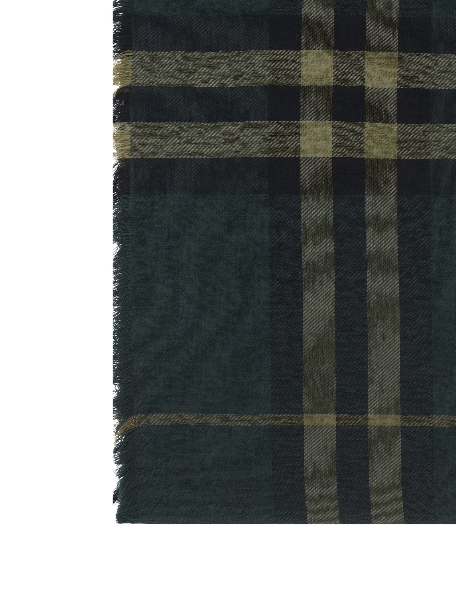 Shop Burberry Scarf In Shadow