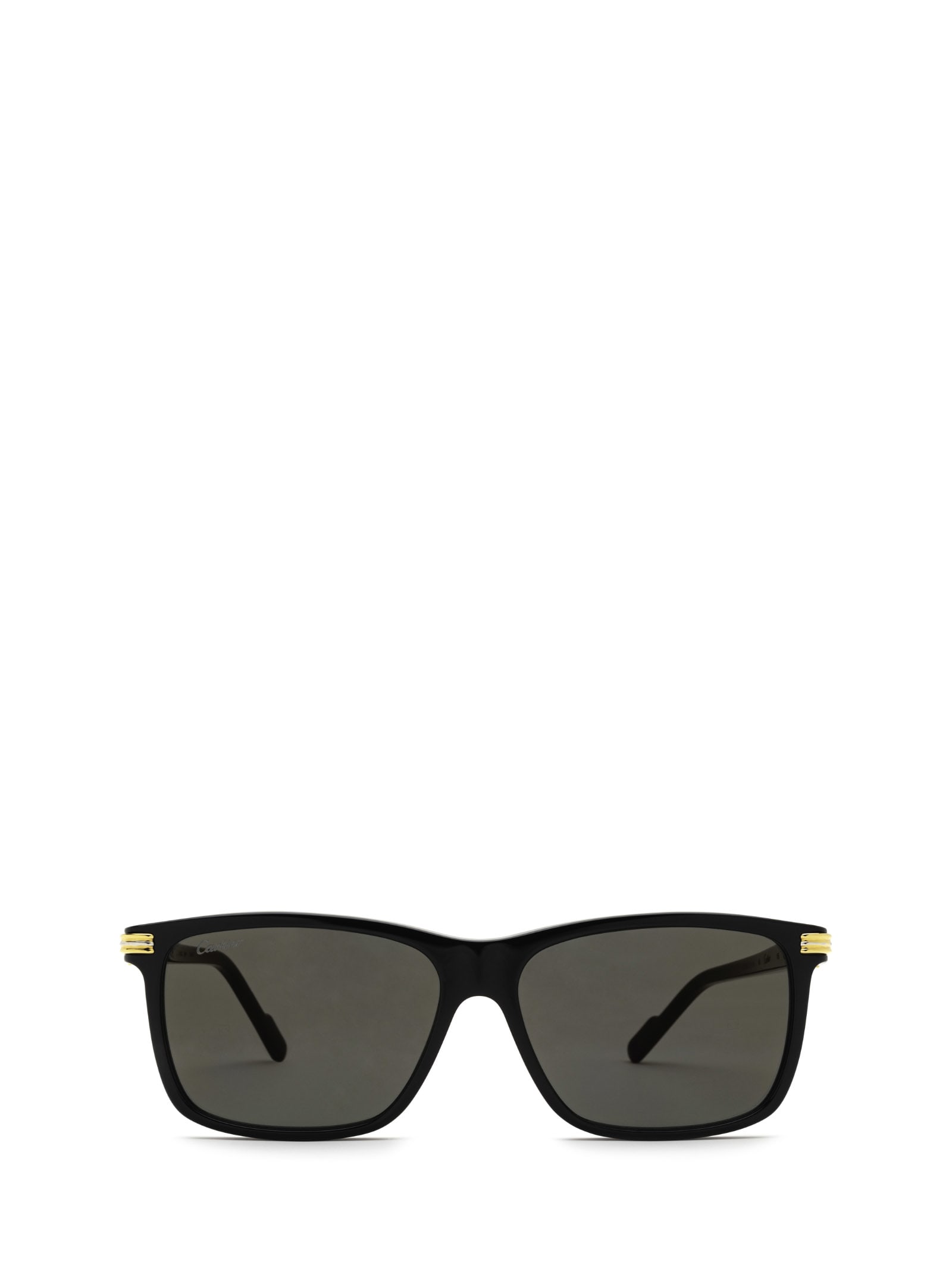 Cartier Eyewear Cartier Ct0160s Black Sunglasses