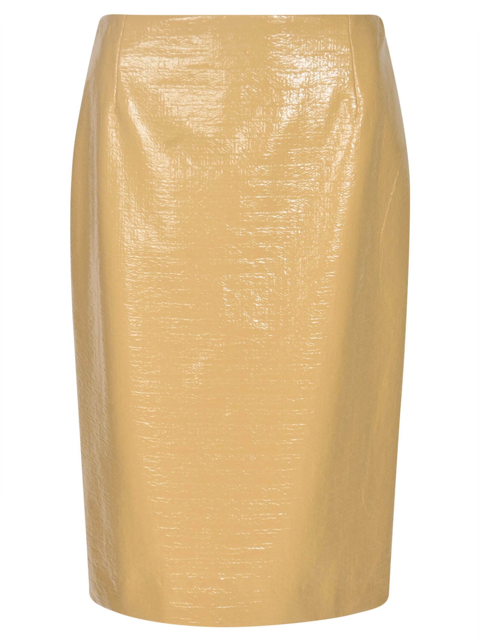 Dries Van Noten Rear Zip Classic Skirt In Honey
