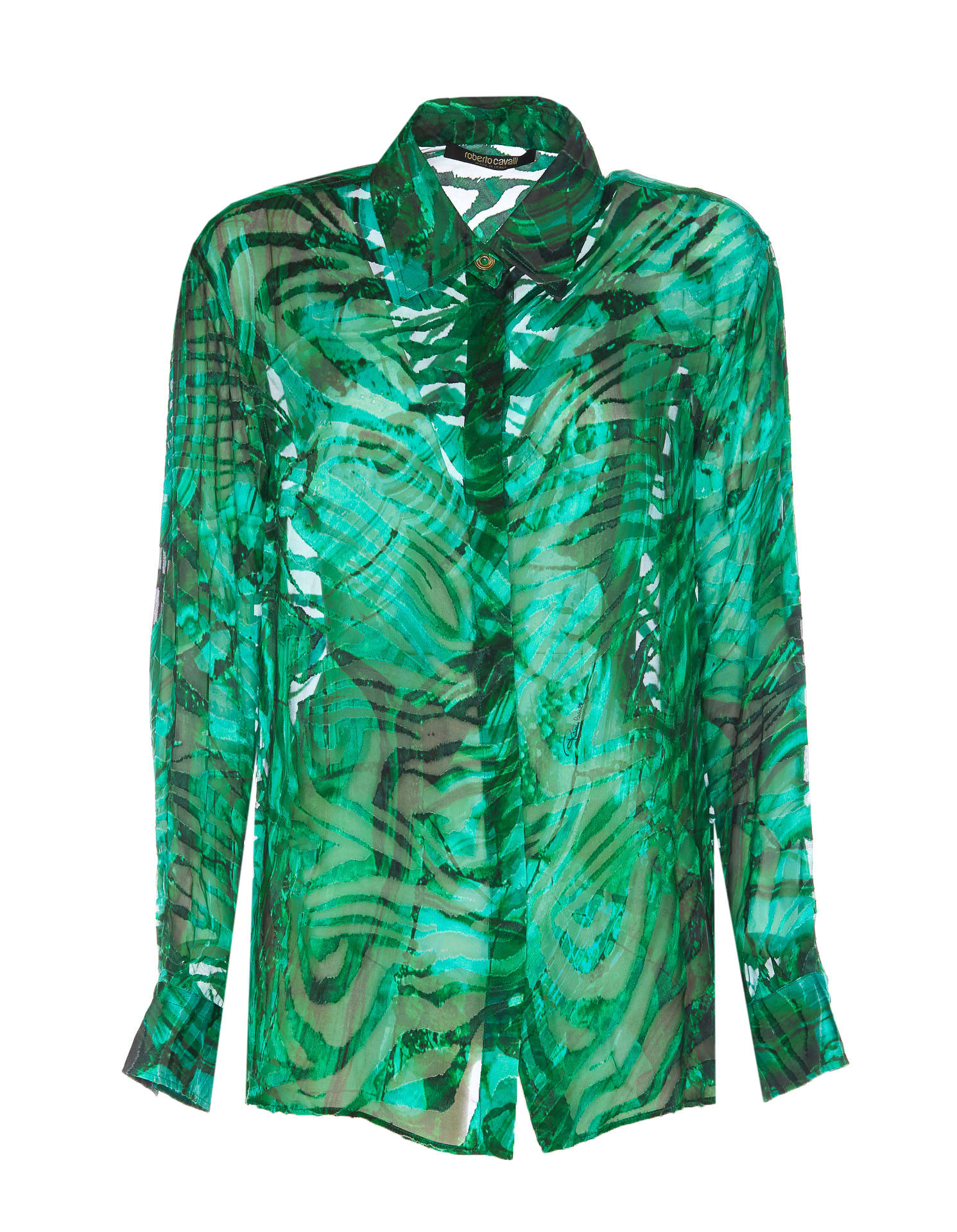 Shop Roberto Cavalli Shirt In Green