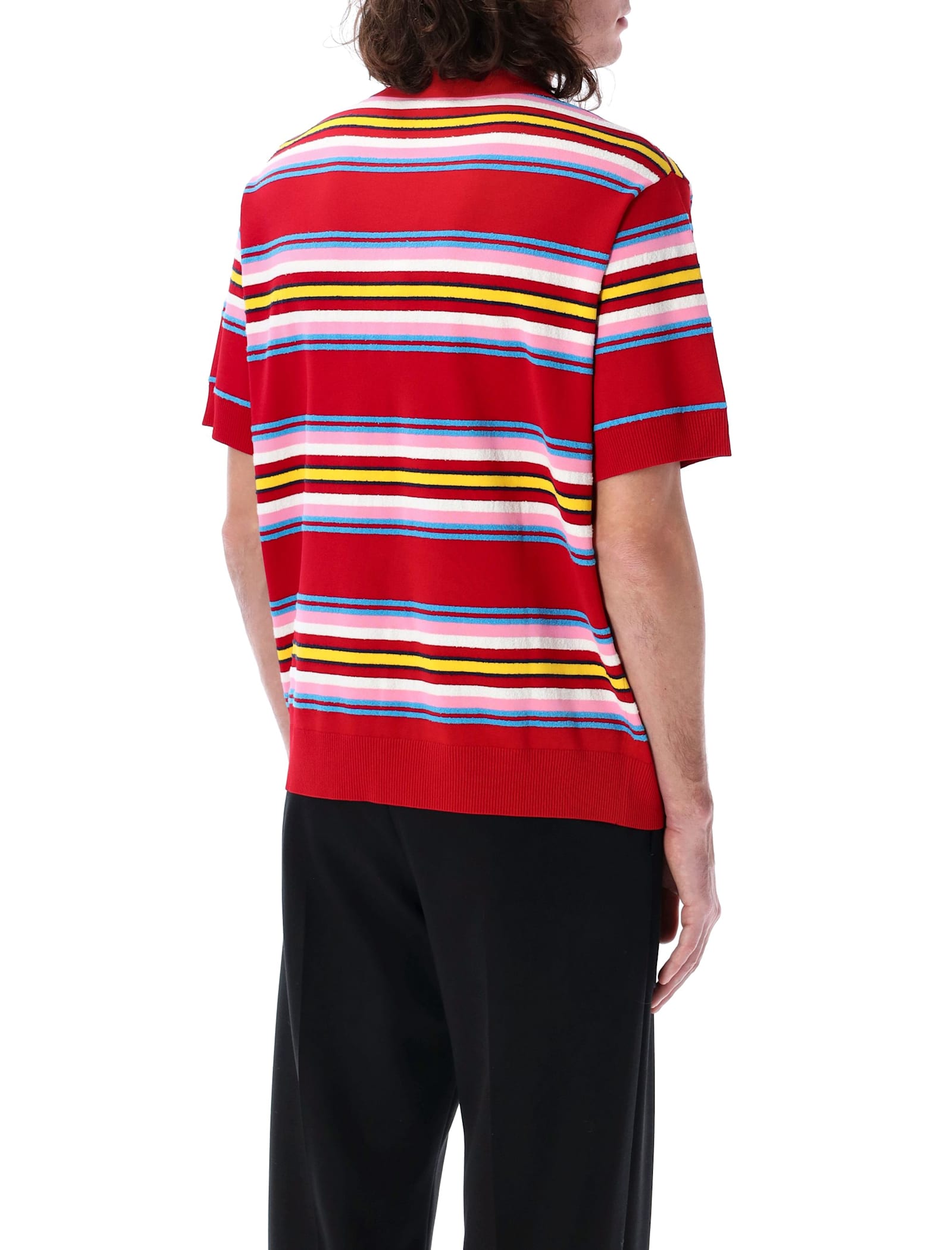 Striped Knit Polo Shirt