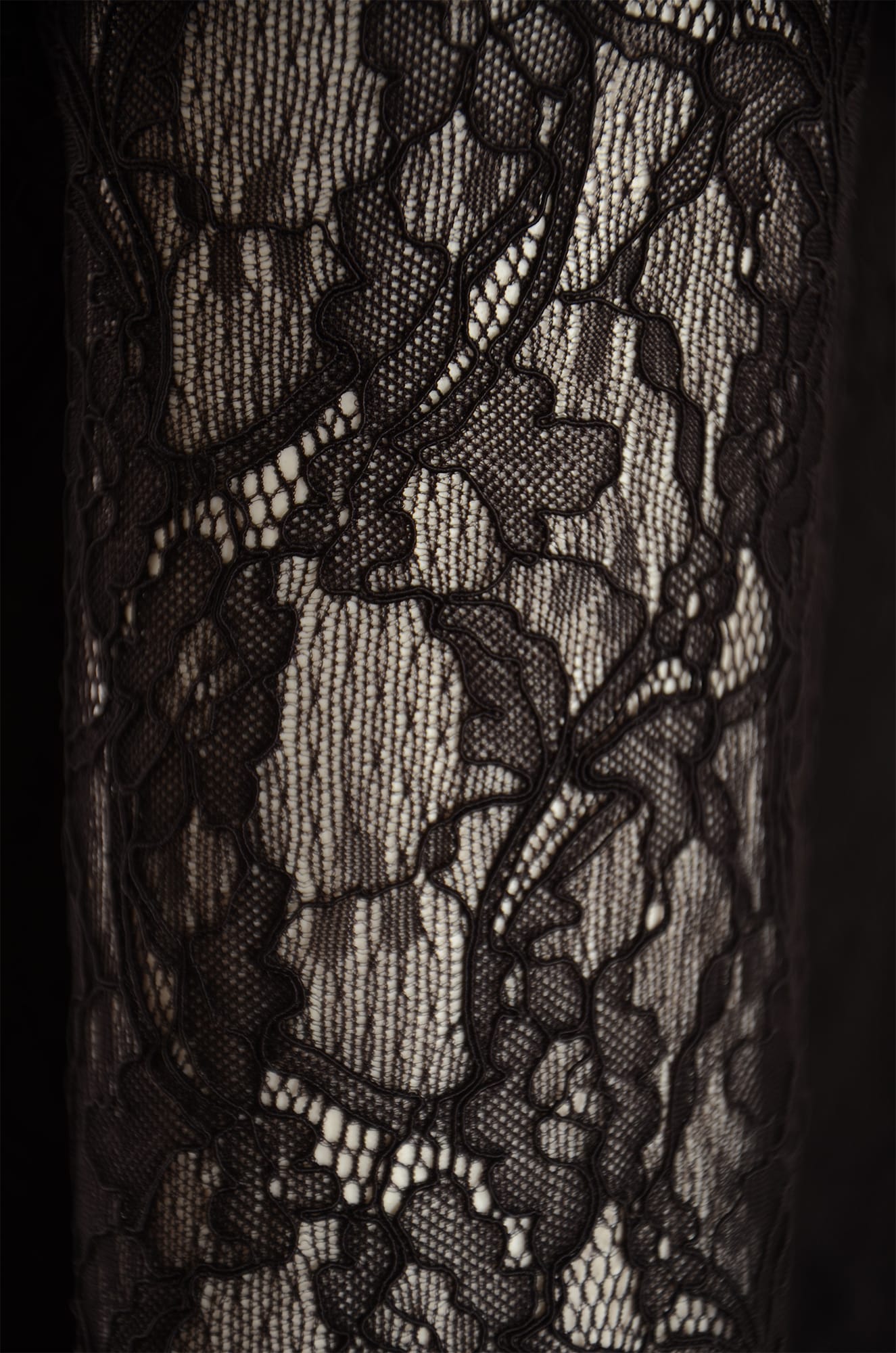 Shop Philosophy Di Lorenzo Serafini Floral Laced Sleeve Blouse In Black