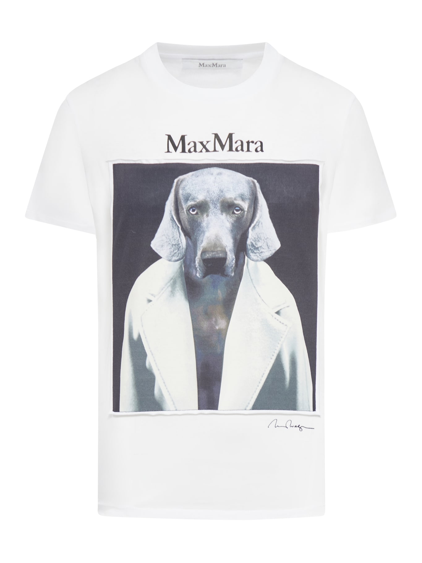 Shop Max Mara White Cotton Cipria T-shirt In Vaniglia