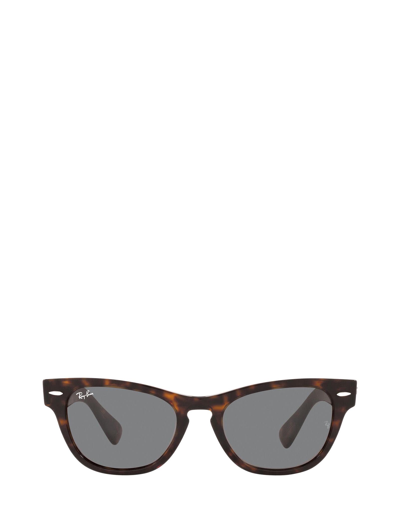 Ray-Ban Ray-ban Rb2201 Tortoise Sunglasses