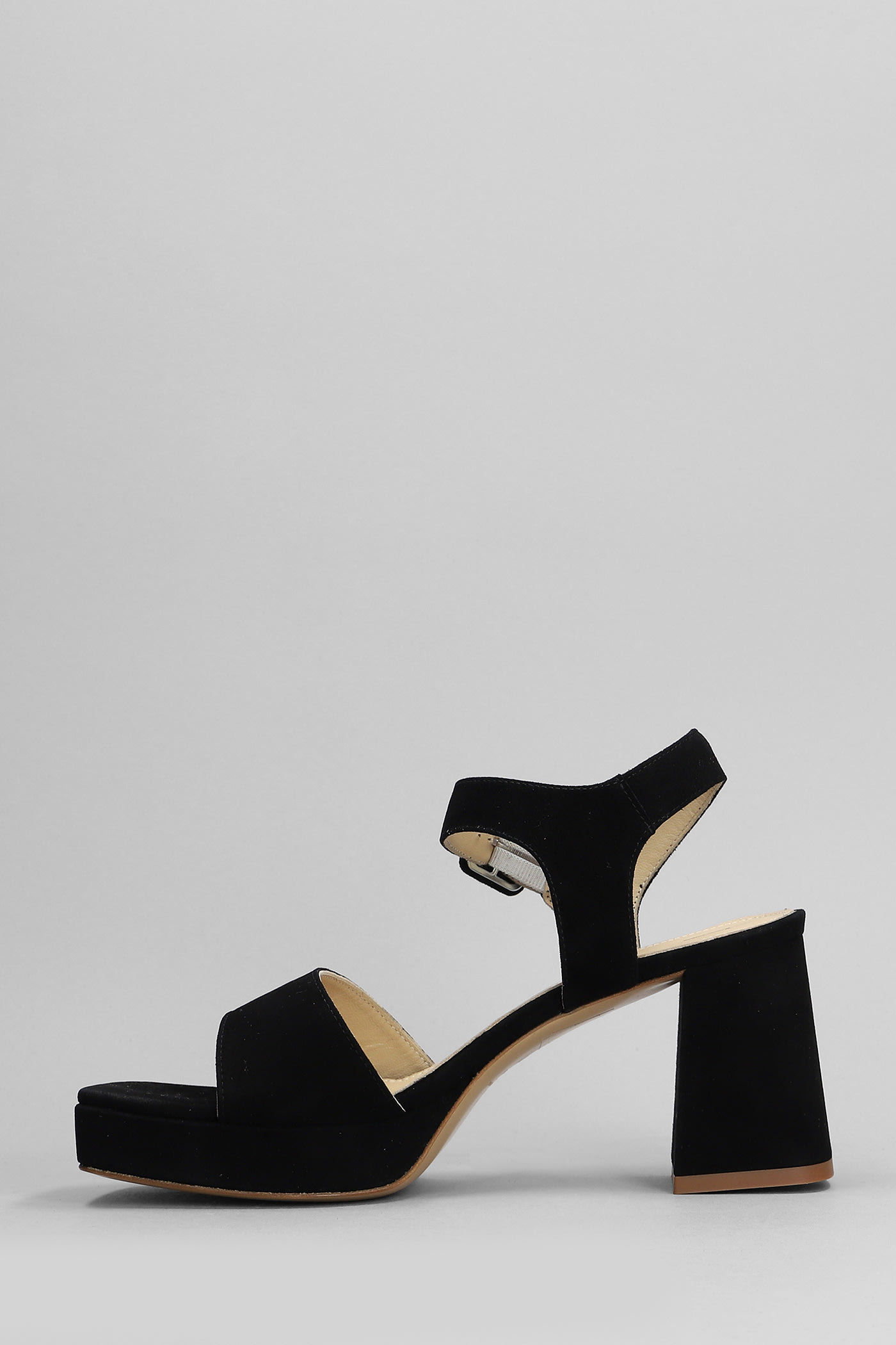 Shop Fabio Rusconi Sandals In Black Suede