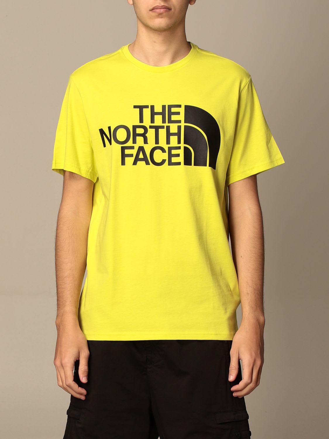 THE NORTH FACE T-SHIRT IN COTTON WITH PRINT,NF0A4M7X JE3