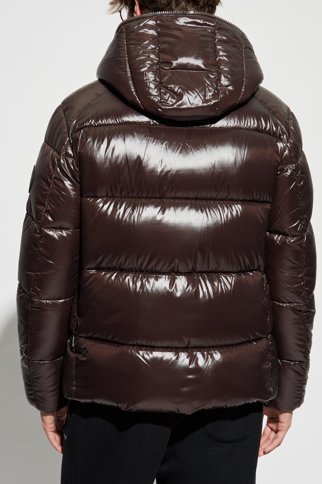 Shop Save The Duck Padded Jacket Edgard In Brown Black