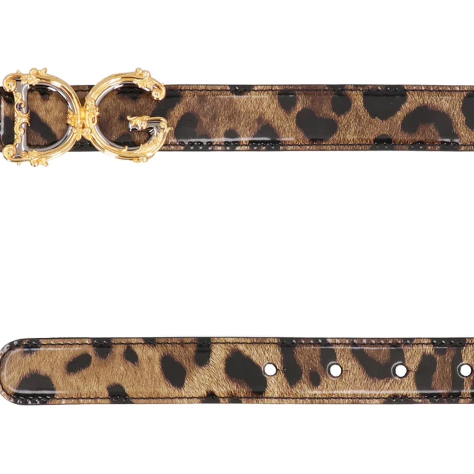 Dolce & Gabbana Leather Logo Belt Women In Animal Print