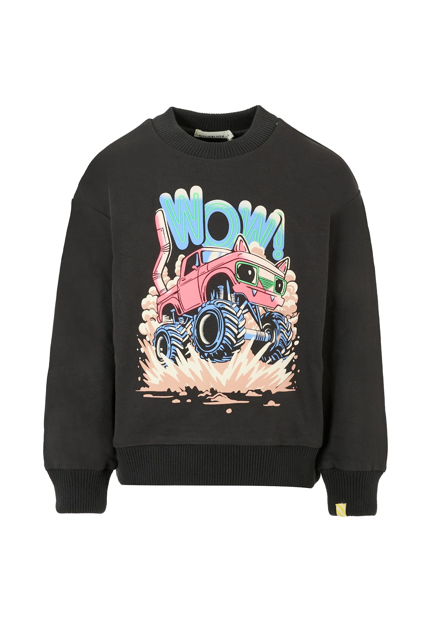 Billieblush Grey Sweatshirt For Boy With Print In Brown