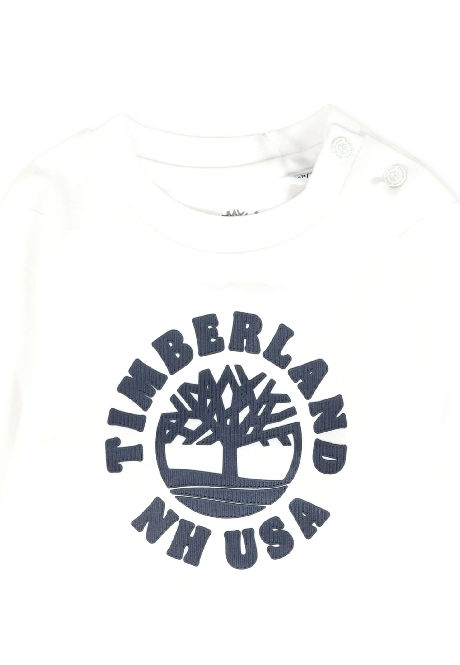 Timberland White T-shirt For Baby Boy With Logo In White