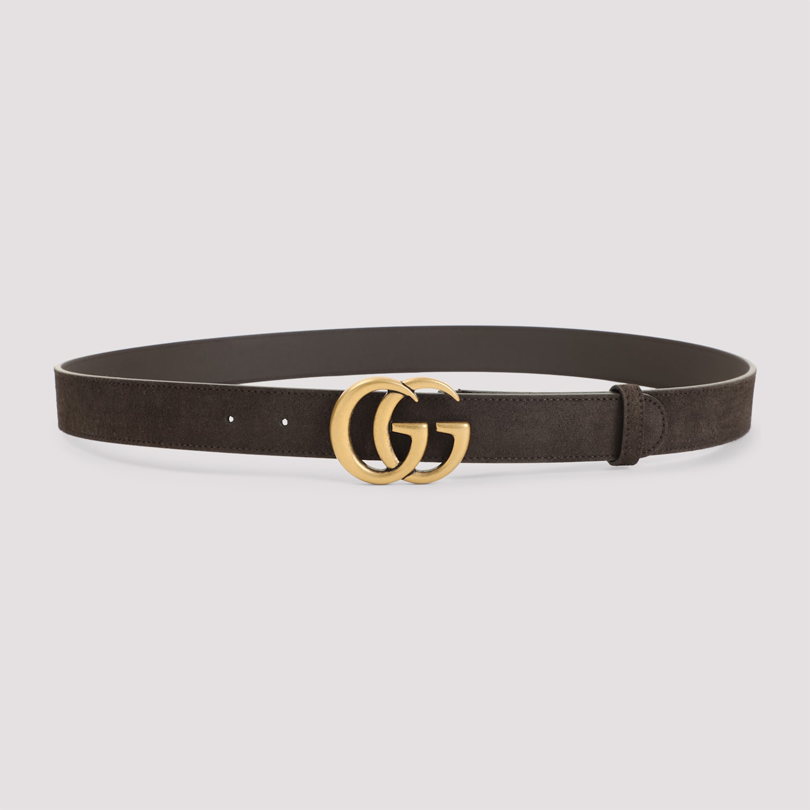 Gucci Belt In Brown