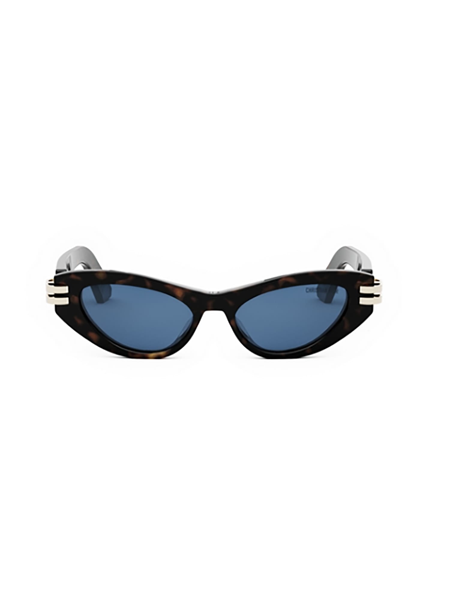 Dior C B1u Sunglasses In Black