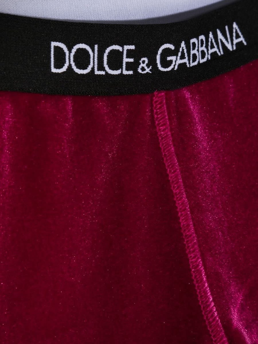 Shop Dolce & Gabbana Leggings In Fuchsia