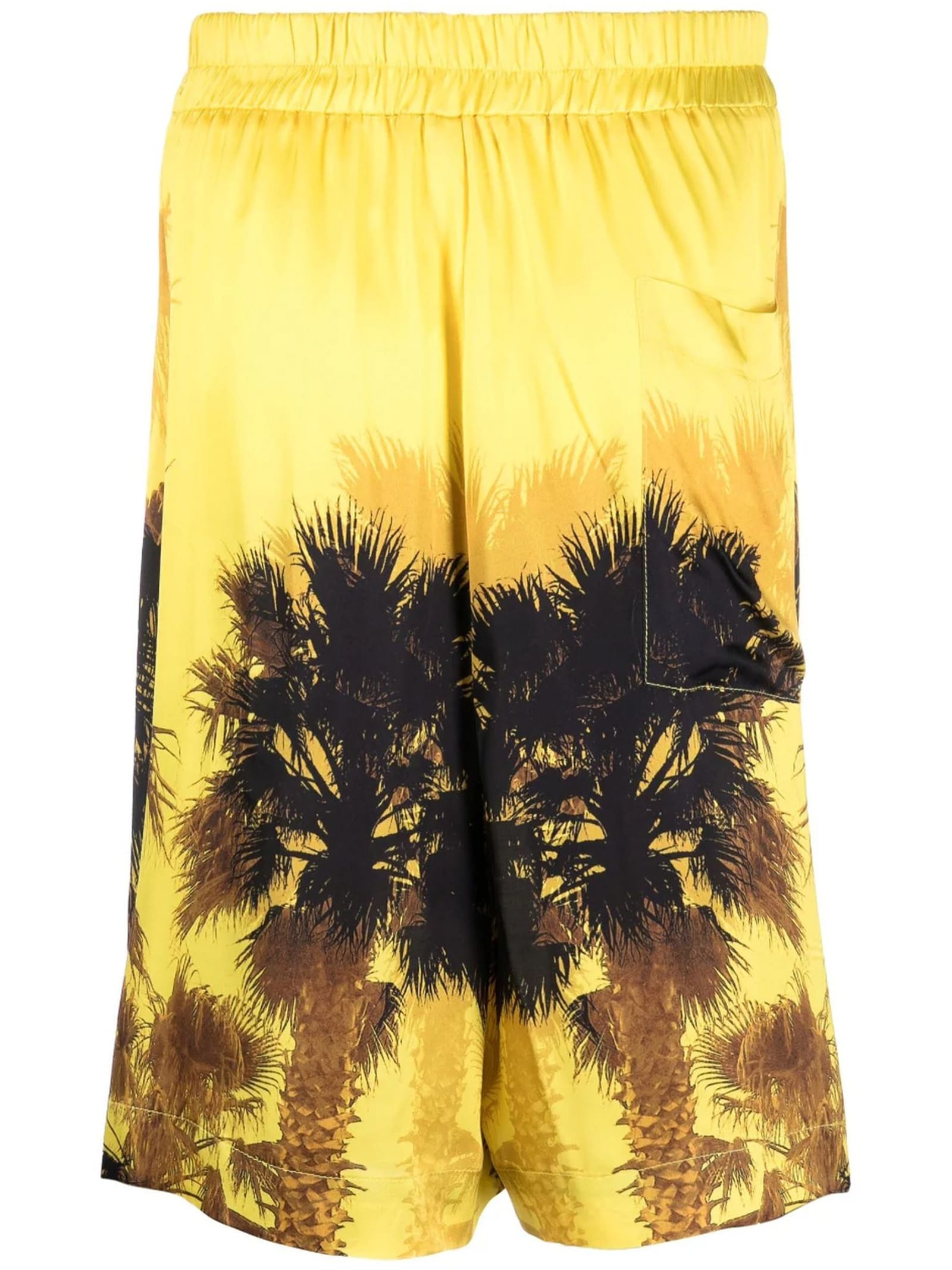 Shop Laneus Palm-tree Print Shorts