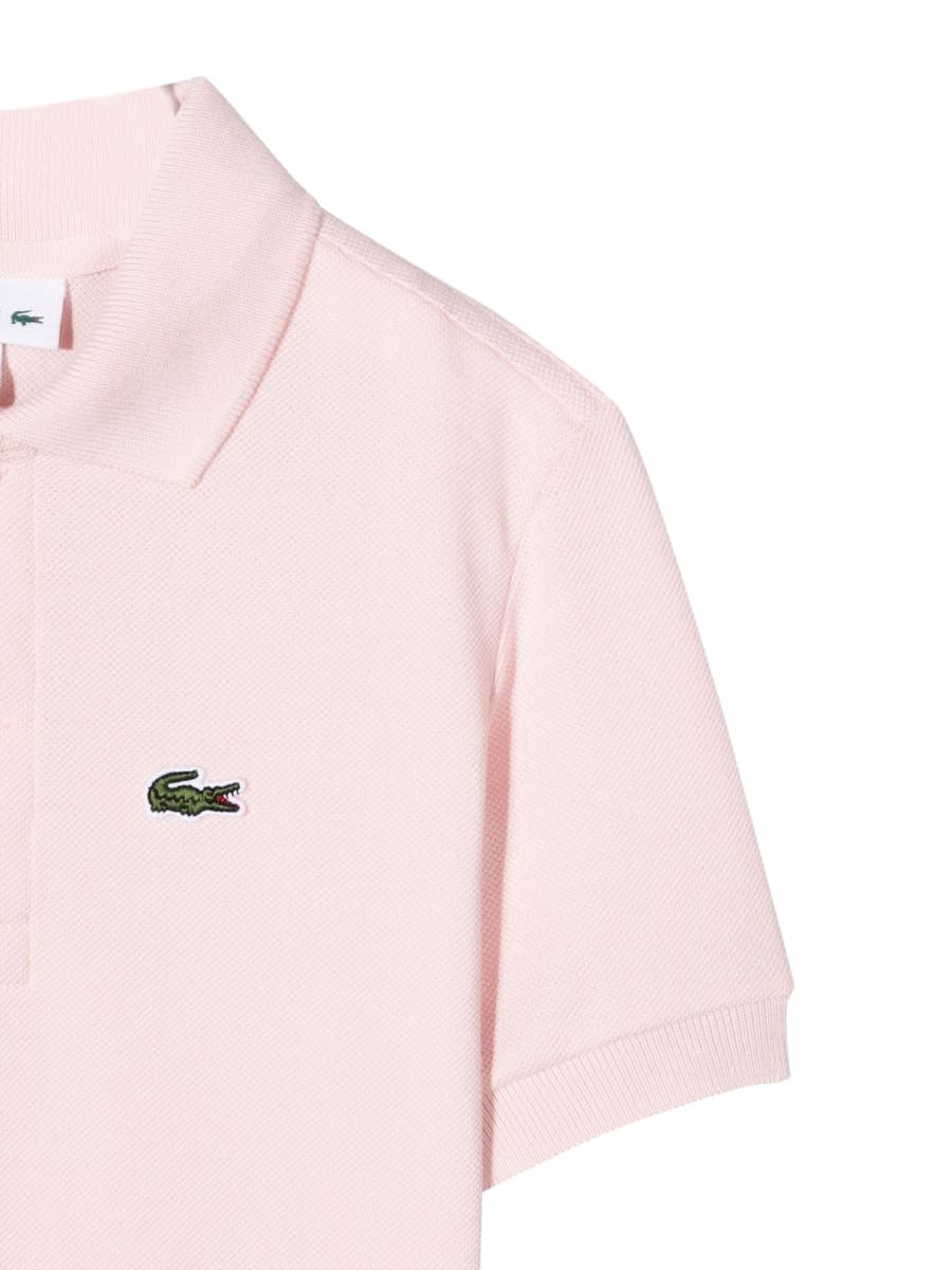 Shop Lacoste Polo Taglio Classico Club Med In Pink