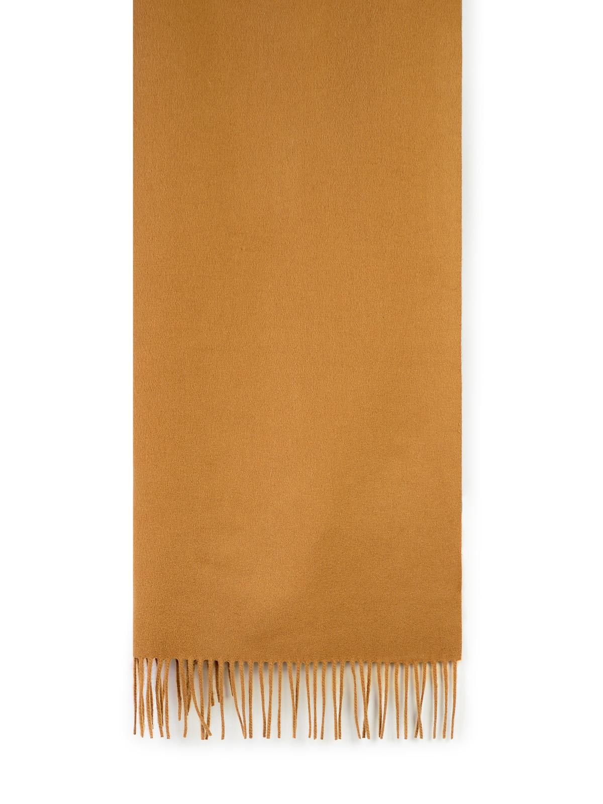 Shop Max Mara Baci Light Brown Chasmere Scarf