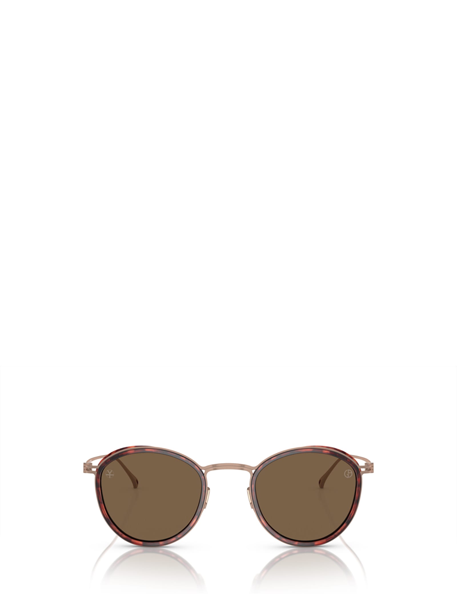 Giorgio Armani Ar6148t Shiny Havana Sunglasses