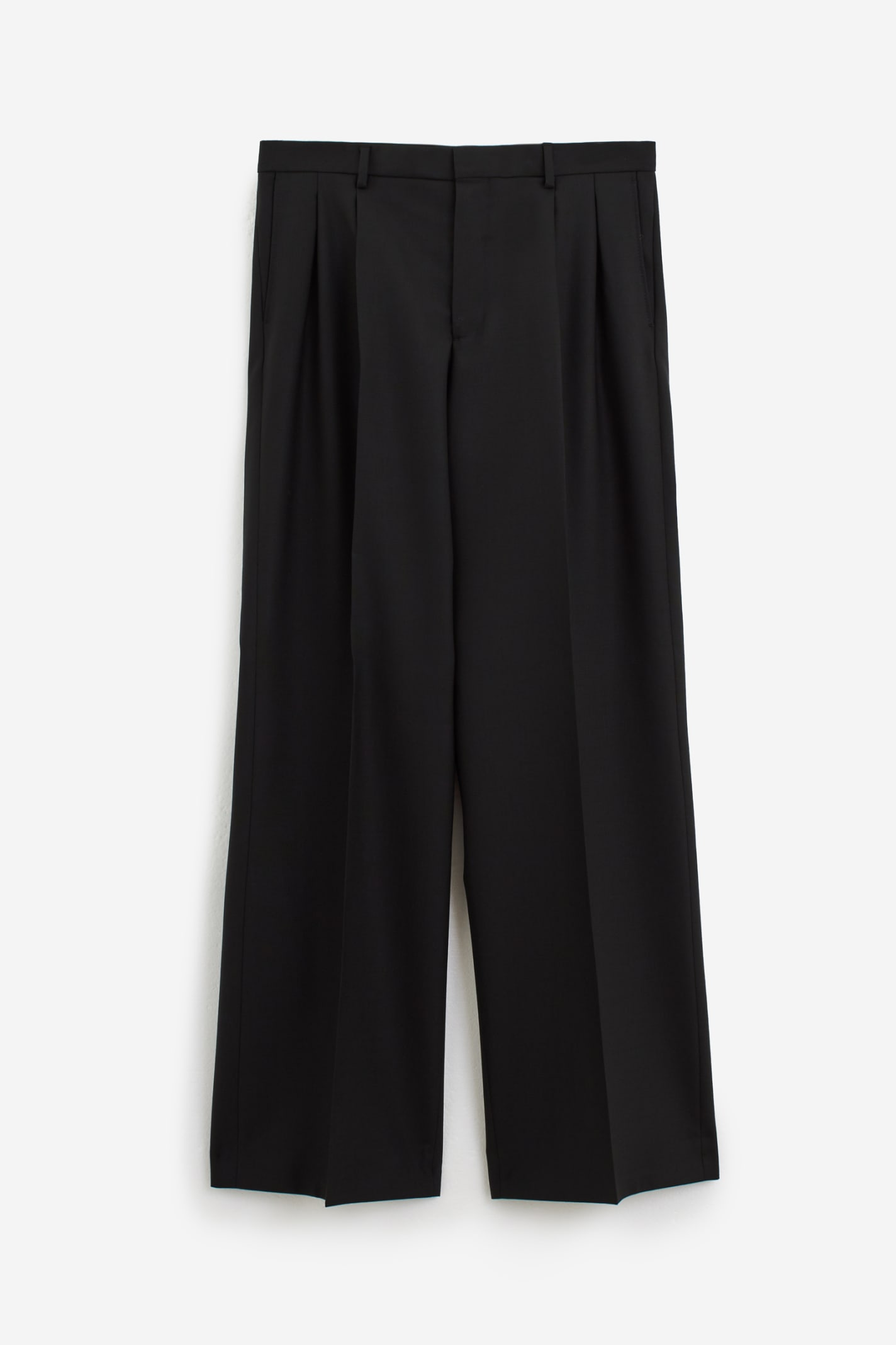 Wide Pleated Pants
