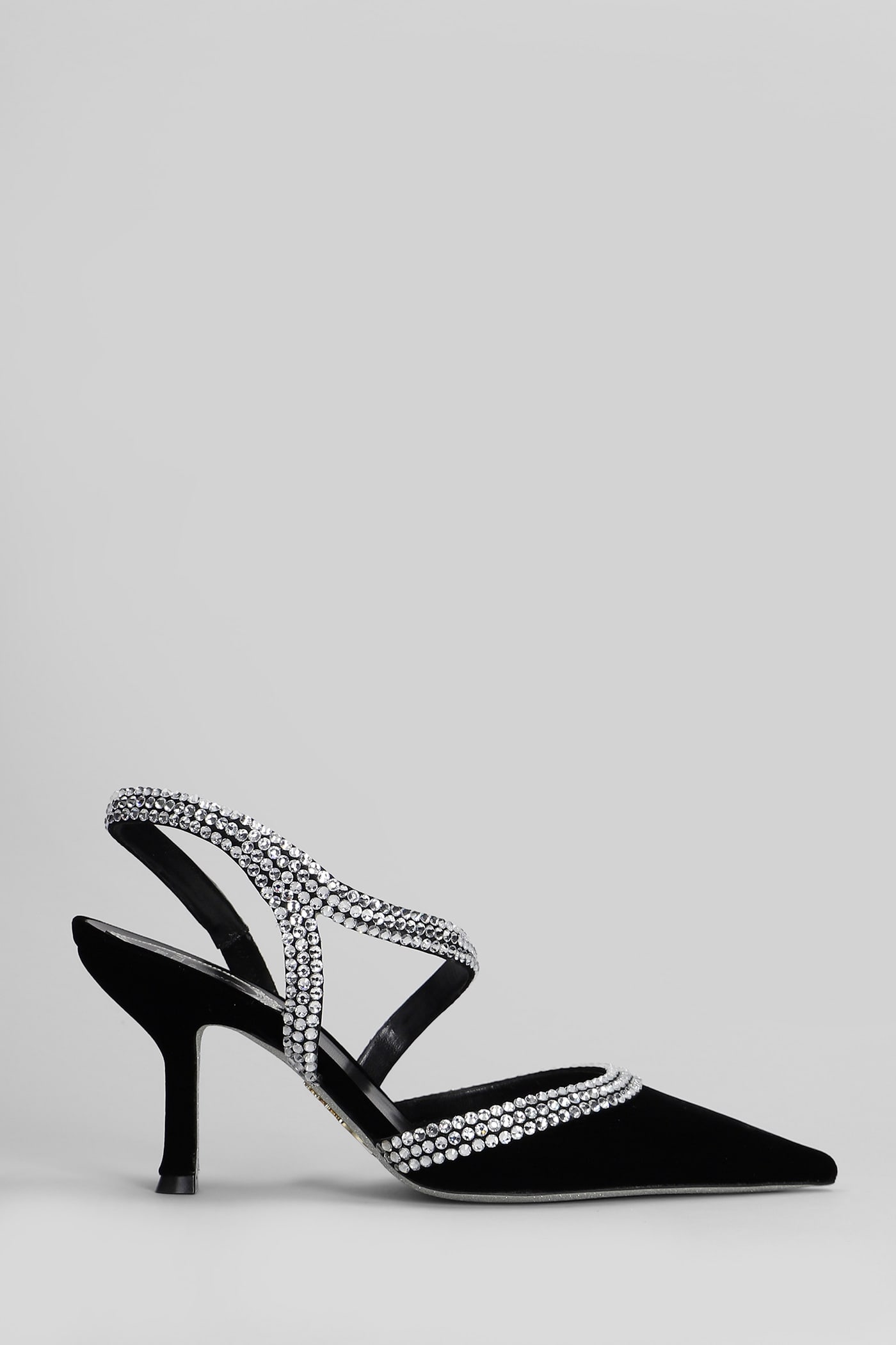 Shop René Caovilla Lidia Pumps In Black Velvet