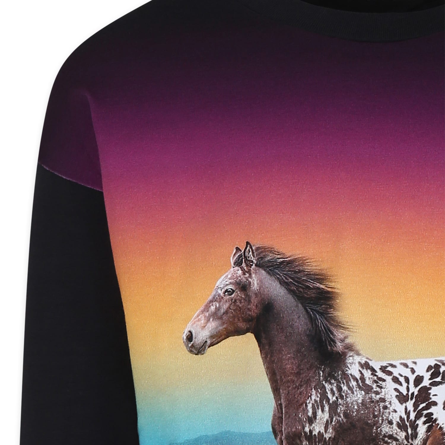 Shop Molo Black T-shirt For Girl With Horse Print