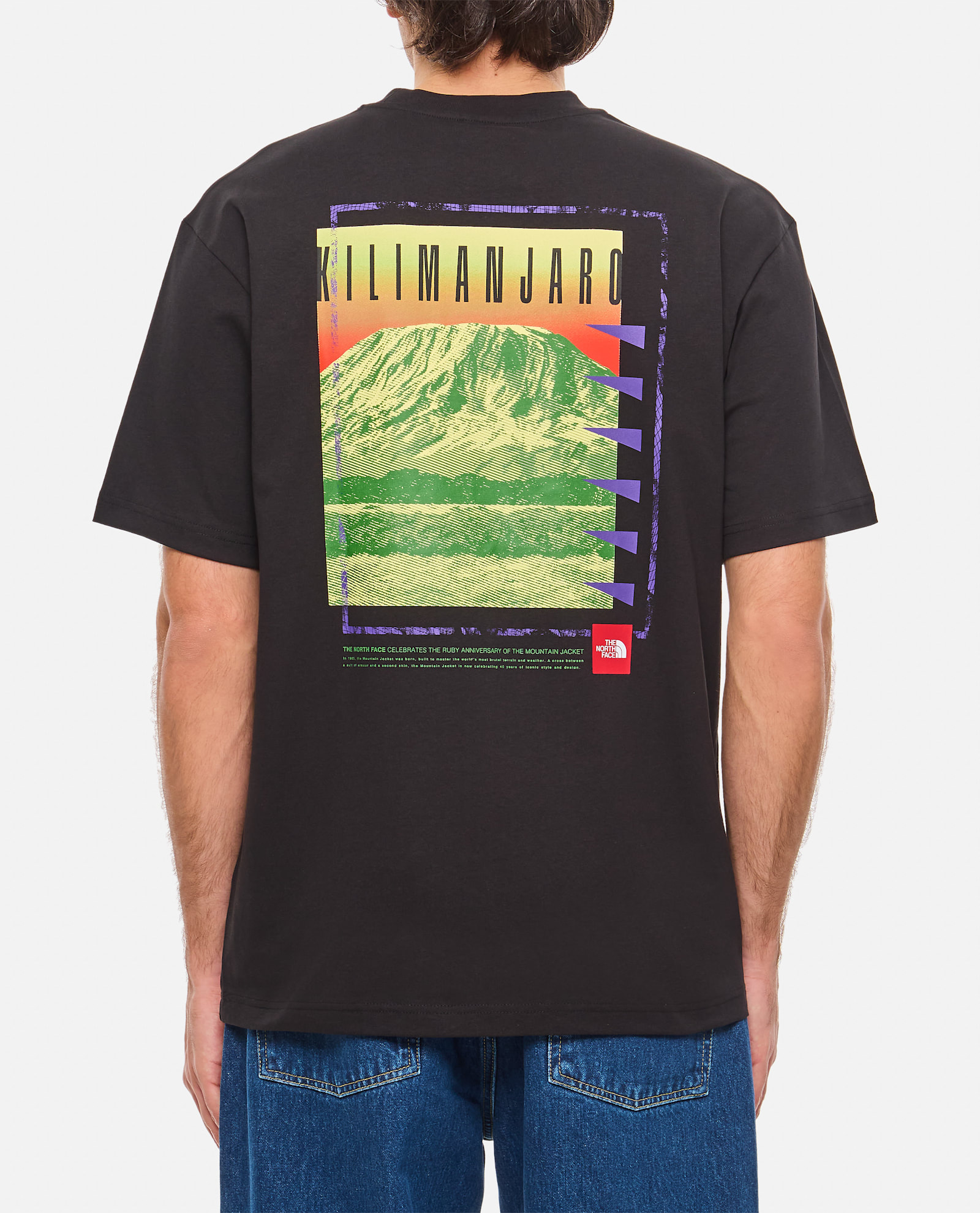 THE NORTH FACE T-SHIRT