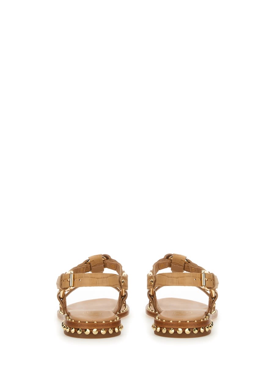 Ash Crocodile Print Sandal With Studs In Brown