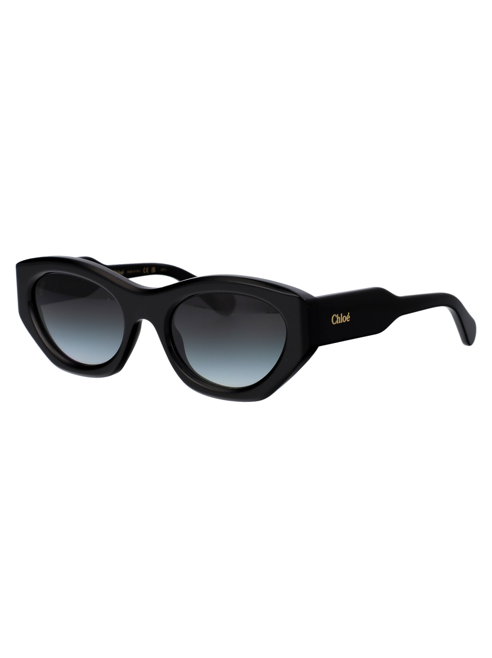 Shop Chloé Ch0220s Sunglasses In 001 Black Black Grey